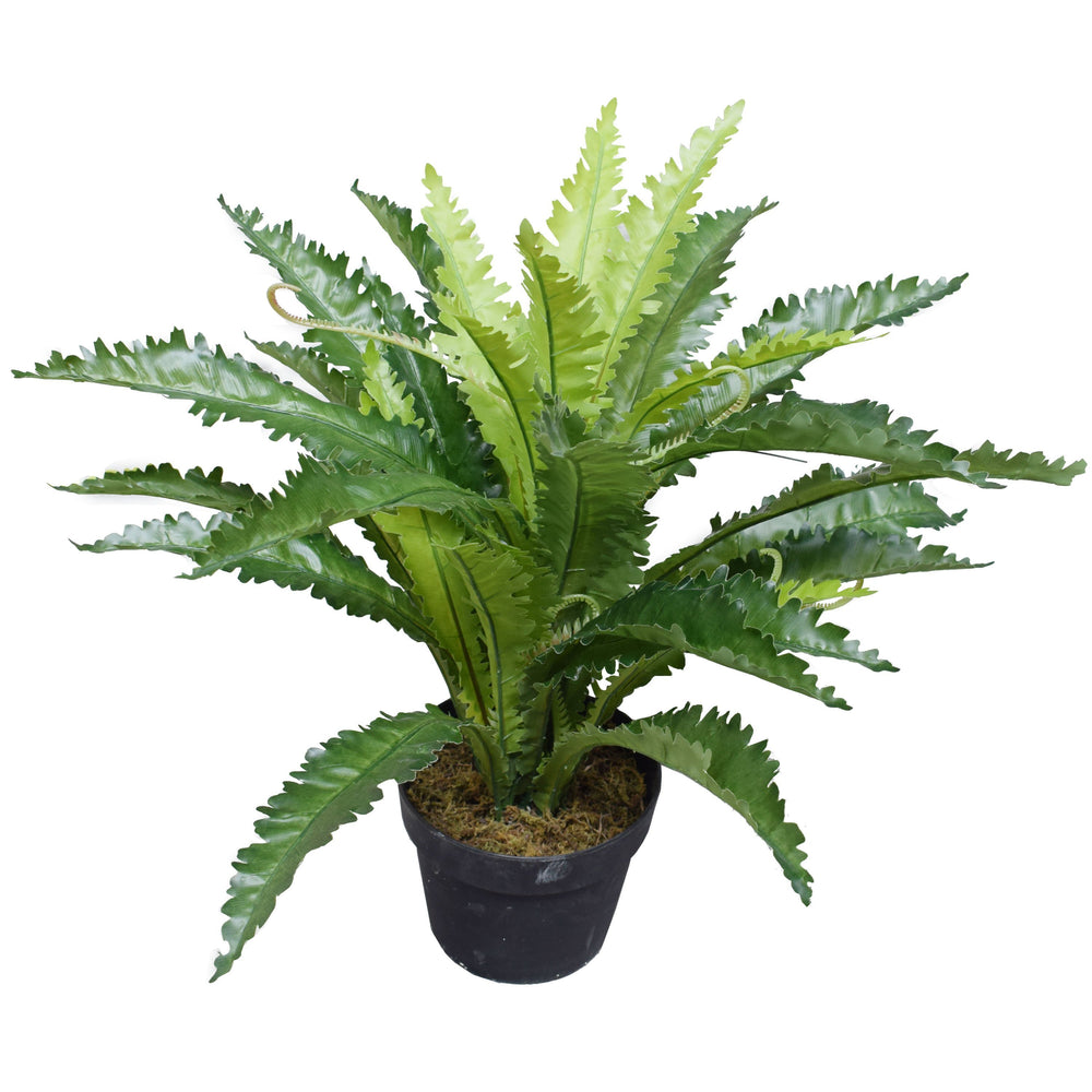 Artificial Birds Nest Fern 55cm - Artificial green walls and fake plants