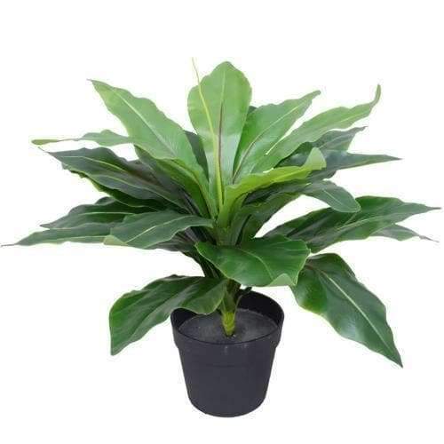 Artificial Potted Wide Leaf Birds Nest Fern 50cm - Designer Vertical Gardens artificial vertical garden plants artificial vertical garden wall