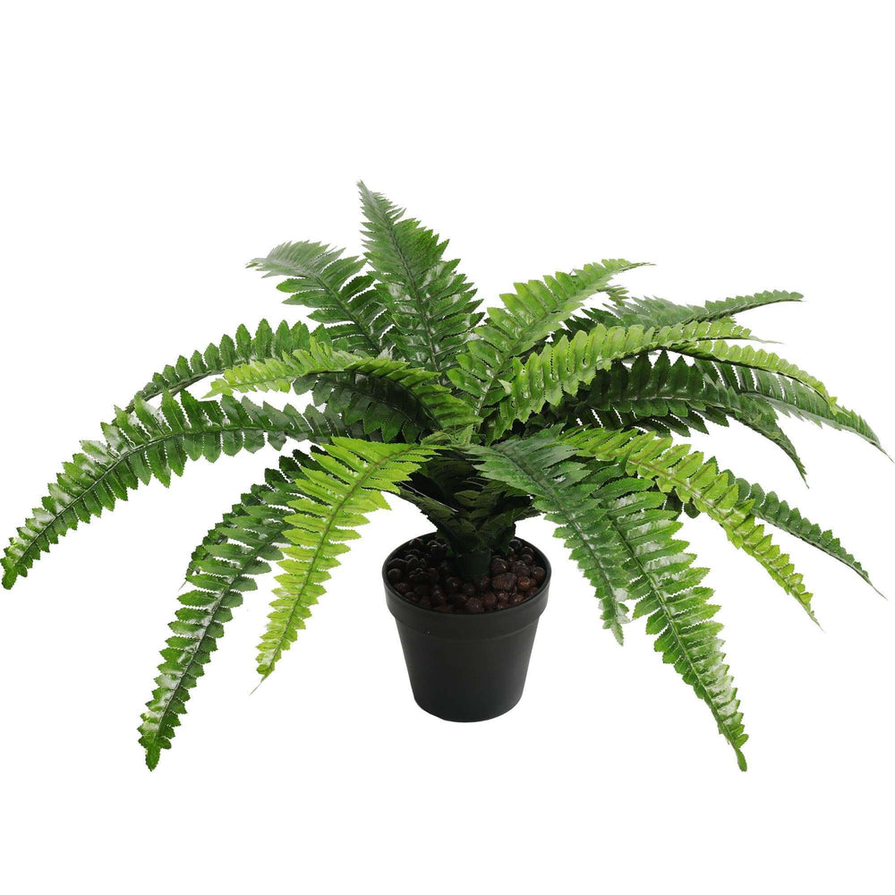 Potted Natural Green Artificial Boston Fern (50cm high 70cm wide) - Designer Vertical Gardens Artificial Shrubs and Small plants Office and House plants