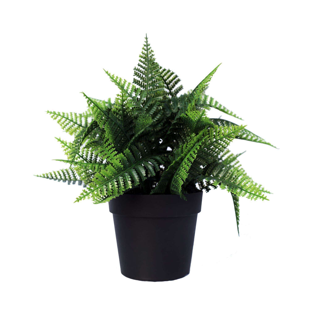 Small Potted Artificial Persa Boston Fern Plant UV Resistant 20cm - Designer Vertical Gardens Artificial Shrubs and Small plants artificial vertical garden plants
