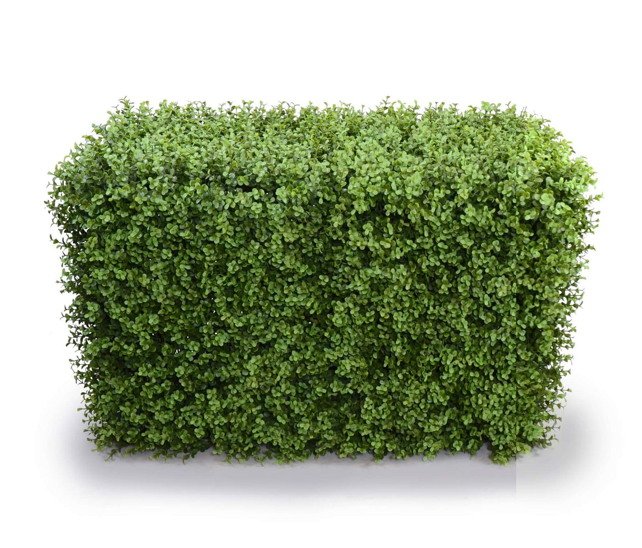 Super Quality Artificial Hedges (DIY Fake Hedges)