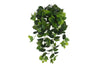 Hanging Green Ivy Bush - 100cm - detail view