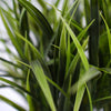 Potted Artificial Grass Plant Dense Green Grass UV Resistant 38cm