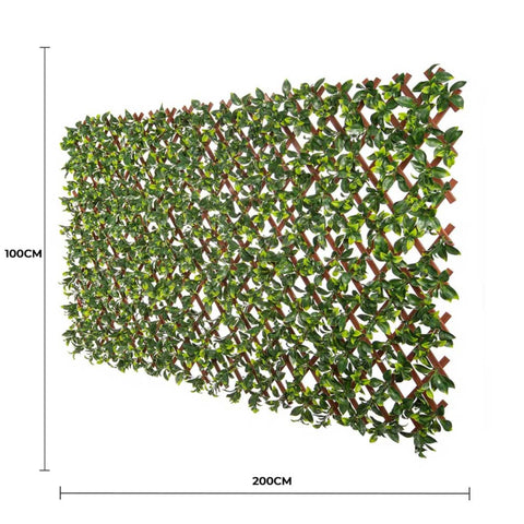 Premium Jasmine Artificial Hedge Extendable Trellis / Screen 2 Meter By 1 Meter UV Resistant (PVC)