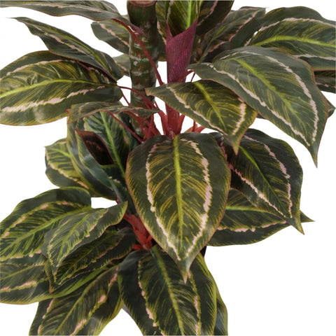 Artificial Wide Leaf Cordyline Plant 90cm
