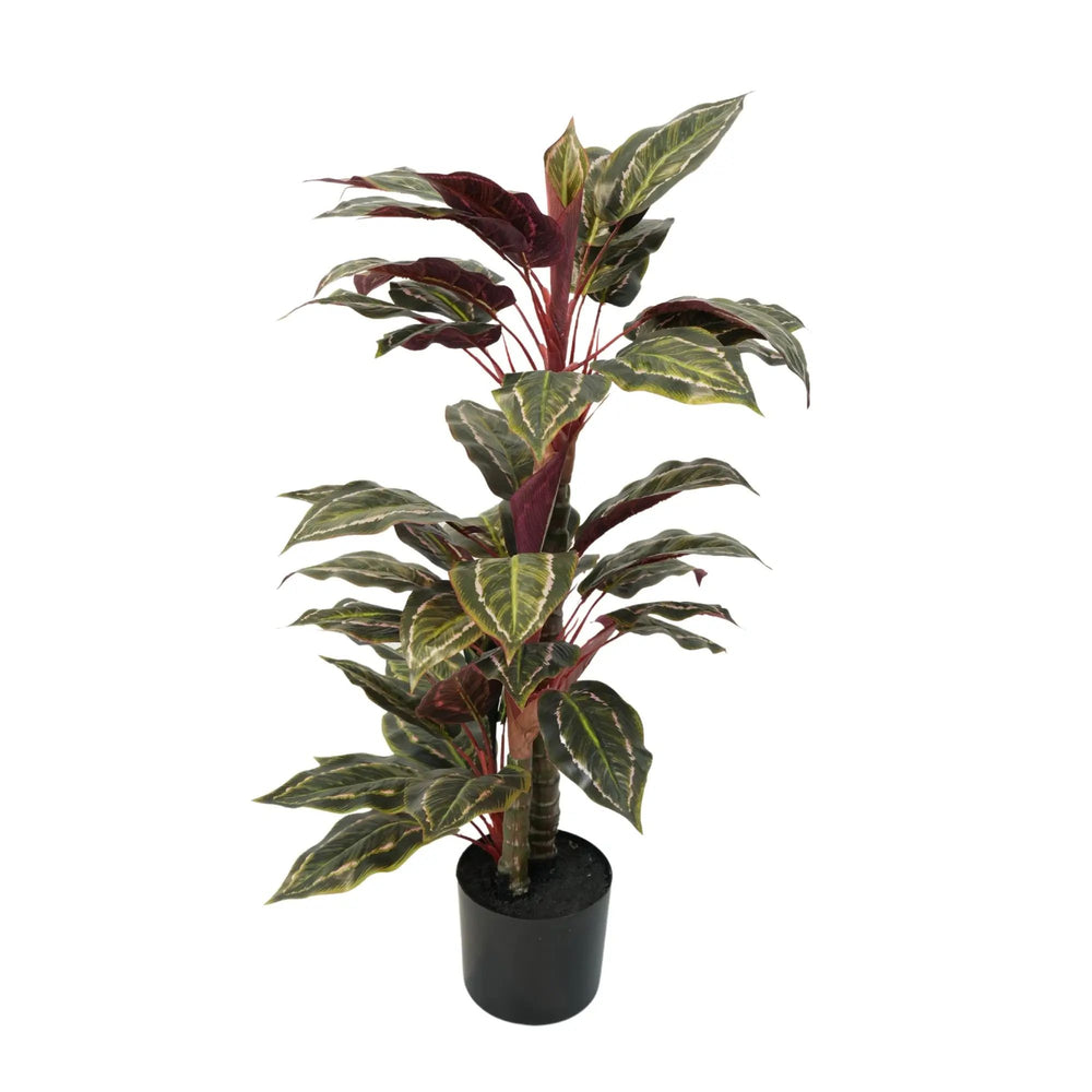 Artificial Wide Leaf Cordyline Plant 90cm
