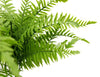 Artificial Fern (Lady Fern) 40cm UV Resistant - detail view