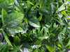 Luxury Green Meadows Vertical Garden Green Wall Panel 1m x 1m – SGS UV Resistant - front view