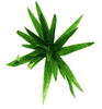 3 Pack - Aloe Vera Plant Stem 30cm - Designer Vertical Gardens artificial garden wall plants artificial green wall australia