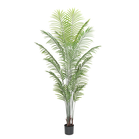 Premium Modern Artificial Tall Areca Tree 210cm