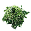 Artificial Spring Evergreen Hanging Basket UV Resistant 43cm