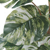 Premium Artificial Monstera Deliciosa / Variegated Monstera (Swiss Cheese) 90cm