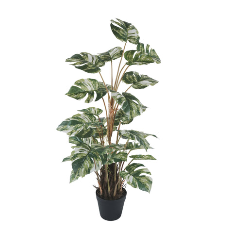 Premium Artificial Monstera Deliciosa / Variegated Monstera (Swiss Cheese) 90cm