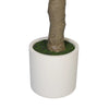 Nearly Natural Extra Large Olive Tree with Olives 280cm