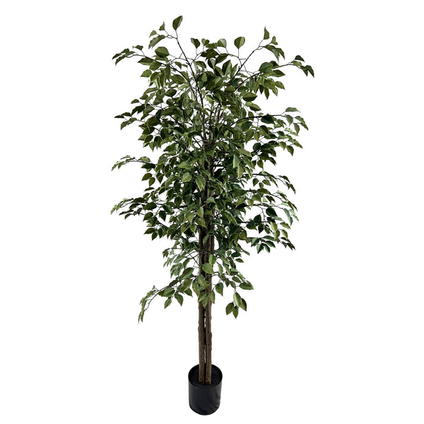 Very Beautiful Artificial Ficus Tree with UV Resistance 180cm