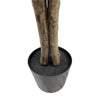 Very Beautiful Artificial Ficus Tree with UV Resistance 180cm