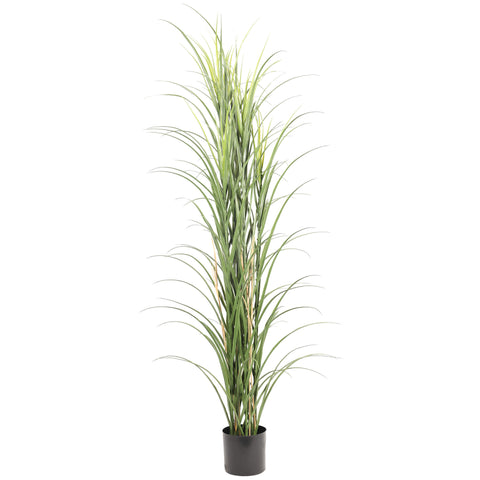 Premium Potted Artificial Long Grass (Yucca Grass / Reed Grass) 180cm UV Resistant