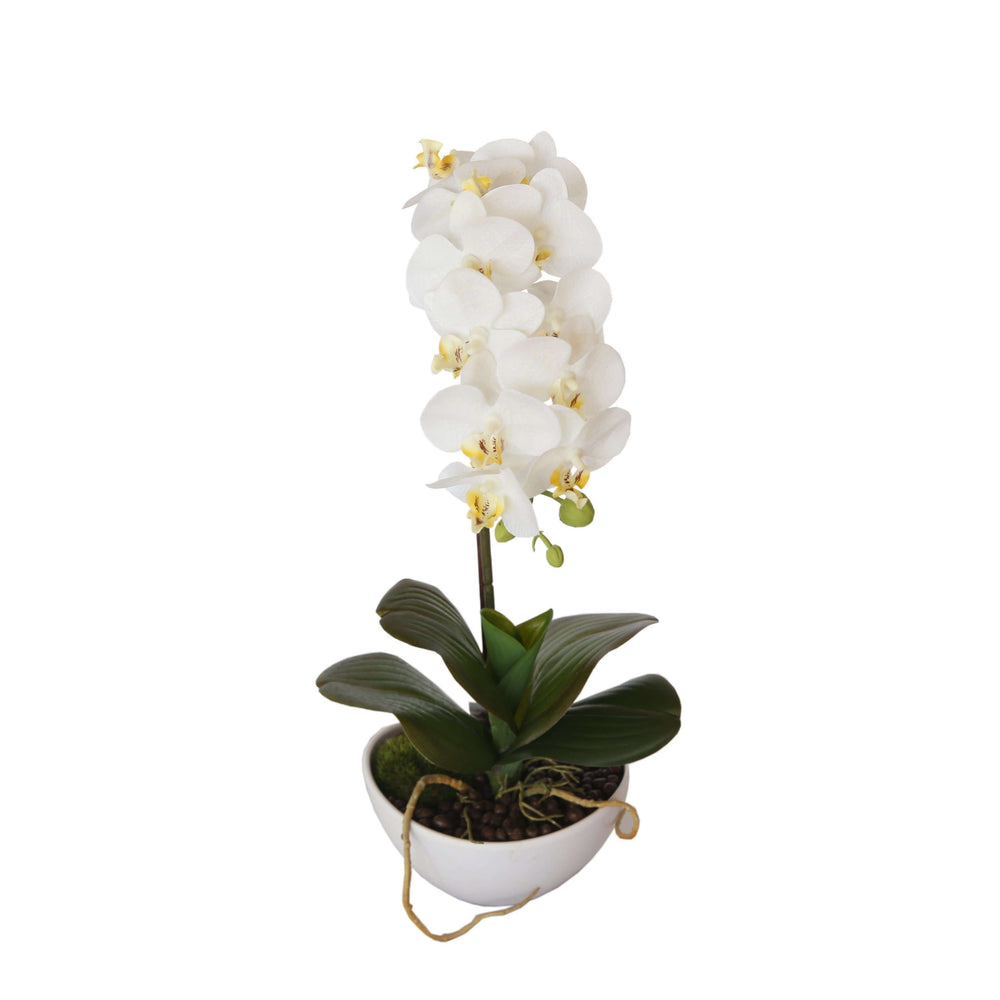 46cm Butterfly Artificial Potted Orchid White - Designer Vertical Gardens artificial garden wall plants artificial green wall australia