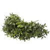 5 Pack Dense Artificial Buxus Foliage 30cm UV Resistant - Designer Vertical Gardens artificial green wall sydney artificial vertical garden melbourne