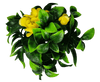 5 Pack Flowering Yellow Rose Stem UV Resistant 30cm - Designer Vertical Gardens artificial flowers for centerpieces artificial garden wall plants