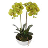 50cm Flowering Artificial Potted Orchid - Multi Stem - Designer Vertical Gardens artificial garden wall plants artificial green wall australia