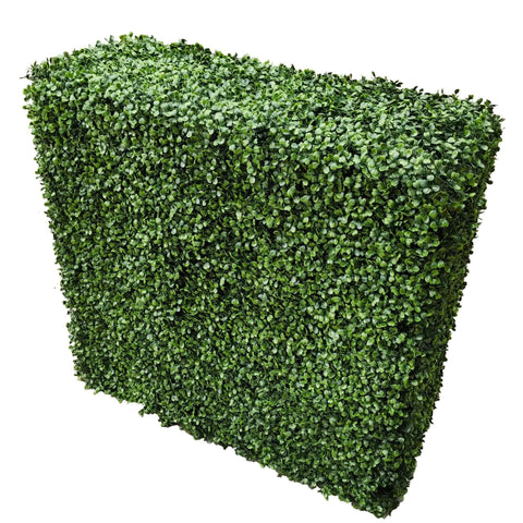 Portable Boxwood Hedge UV Resistant 100cm Long X 100cm High