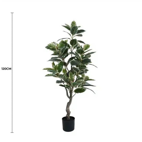 Artificial Bushy Variegated Ficus Tree (Rubber Tree) 120cm