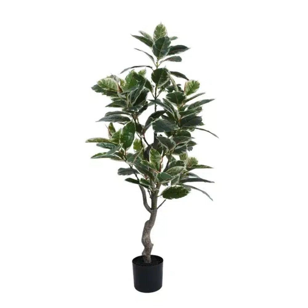 Artificial Bushy Variegated Ficus Tree (Rubber Tree) 120cm