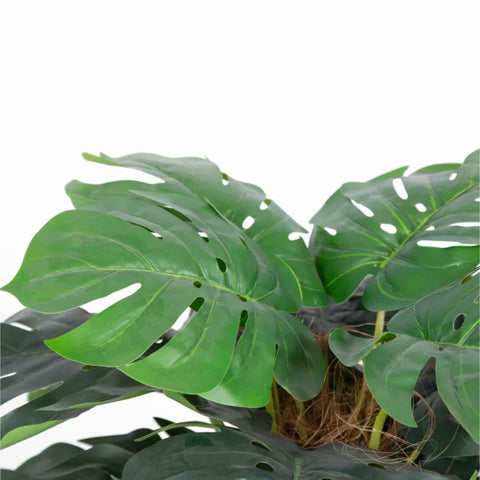 Premium Artificial Monstera Deliciosa Tree 100cm