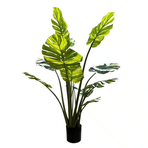 Premium Artificial Potted Monstera Albo 150cm