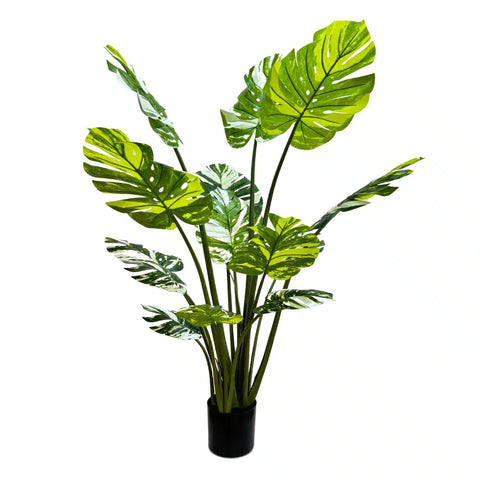 Premium Artificial Potted Monstera Albo 150cm