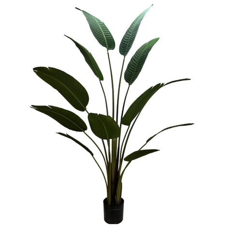 Grand Artificial Potted Travellers Palm (Banana Palm Tree) 160cm