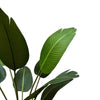 Grand Artificial Potted Travellers Palm (Banana Palm Tree) 120cm
