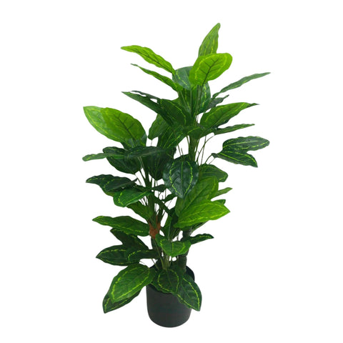 Premium Artificial Cordyline Fructicosa Green / Ti Plant 90cm