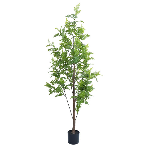 Premium Real Touch Artificial Bracken Palm Tree 180cm