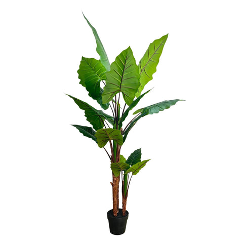 Nearly Natural Artificial 170cm Tall Taro Plant