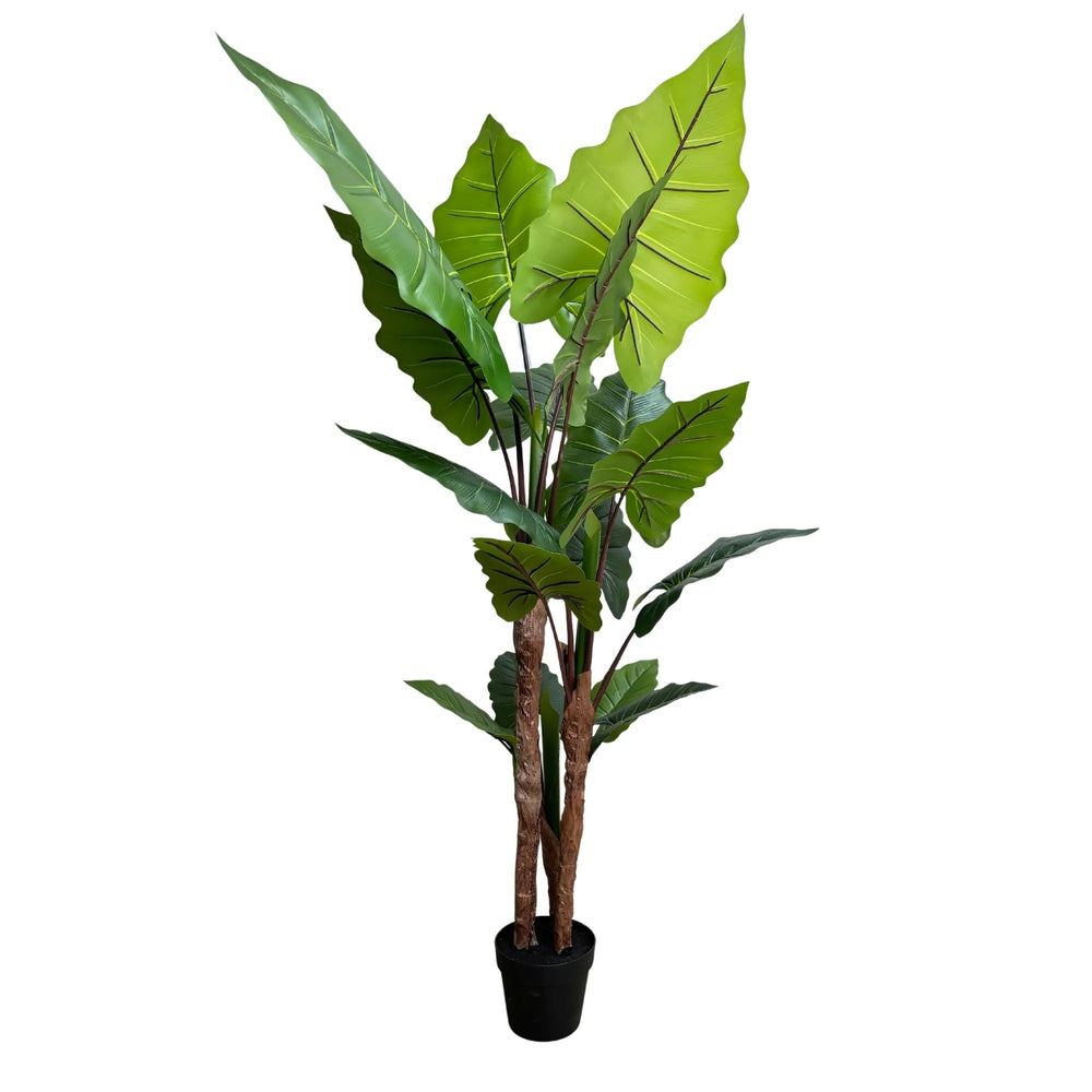 Nearly Natural Artificial 170cm Tall Taro Plant