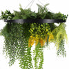 Black Framed Roof Hanging Disc with Draping Life-like Plants 60cm