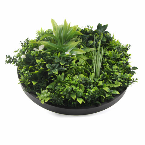 Slimline Flowering White Artificial Green Wall Disc UV Resistant 100cm (Black Frame)