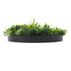 Slimline Flowering White Artificial Green Wall Disc UV Resistant 100cm (Black Frame)