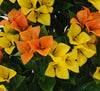 90cm UV Resistant Artificial Bougainvillea Tree | Yellow & Orange Faux Flowering Plant for Outdoor & Indoor - Designer Vertical Gardens Articial Trees Artificial Plants