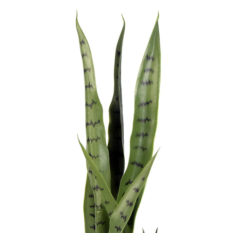 Artificial Snake Plant Sansevieria UV Resistant 85cm