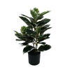 Artificial Bushy Dense Variegated Ficus Tree (Rubber Tree) 50cm - lifestyle image