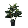 Artificial Bushy Dense Variegated Ficus Tree (Rubber Tree) 50cm - back view