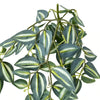 Artificial Hanging / Draping Tradescantia Zebrina 42cm - angle view