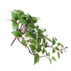 Artificial Hanging / Draping Wandering Jew 42cm - angle view