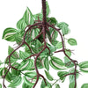 Artificial Hanging / Draping Wandering Jew 42cm - close-up view