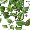 Artificial Hanging / Draping Wandering Jew 42cm - detail view