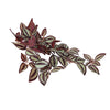 Artificial Hanging / Draping Burgundy Tradescantia Zebrina 42cm - angle view