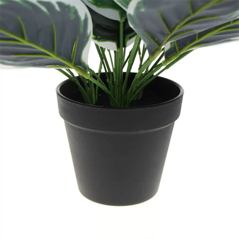 Dense Potted Artificial Calathea Plant 35cm